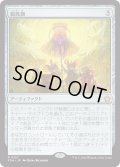親族旗/Banner of Kinship (FDN)