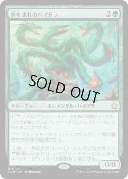 画像1: 苔生まれのハイドラ/Mossborn Hydra (FDN)