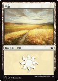 平地/Plains 【Ver.2】 (FDN)