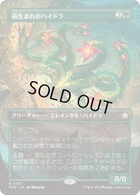 苔生まれのハイドラ/Mossborn Hydra (FDN)【拡張アート版】