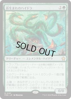 画像1: 苔生まれのハイドラ/Mossborn Hydra (FDN)《Foil》