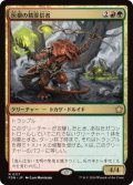 灰根の精霊信者/Ashroot Animist (FDN)《Foil》