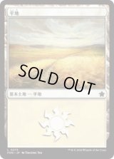 平地/Plains 【Ver.2】 (FDN)《Foil》