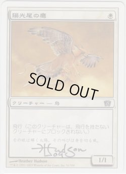 画像1: 陽光尾の鷹/Suntail Hawk (8ED)【サインド】