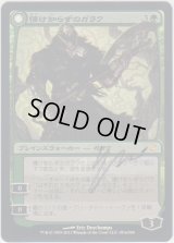 情け知らずのガラク/Garruk Relentless (ISD)《Foil》【サインド】