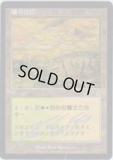 サングラスの大草原/Sungrass Prairie 【他言語】 (ODY)【サインド】