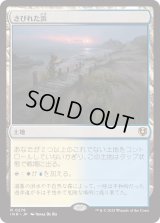 さびれた浜/Deserted Beach (INR)