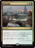 大渦の脈動/Maelstrom Pulse (INR)