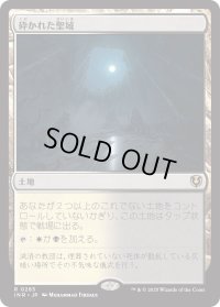 砕かれた聖域/Shattered Sanctum (INR)
