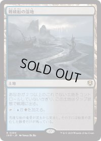 難破船の湿地/Shipwreck Marsh (INR)