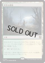 草茂る農地/Overgrown Farmland (INR)