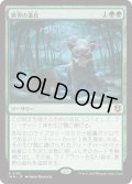 異界の進化/Eldritch Evolution (INR)