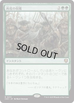 画像1: 再度の収穫/Second Harvest (INR)