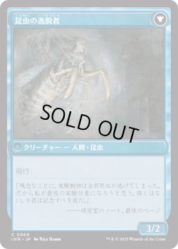 画像2: 秘密を掘り下げる者/Delver of Secrets (INR)