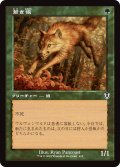 若き狼/Young Wolf (INR)【旧枠版】