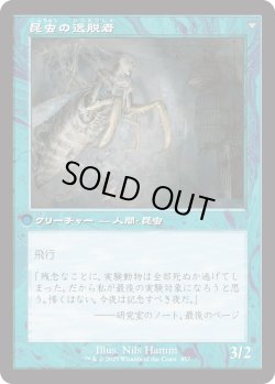 画像2: 秘密を掘り下げる者/Delver of Secrets (INR)【旧枠版】