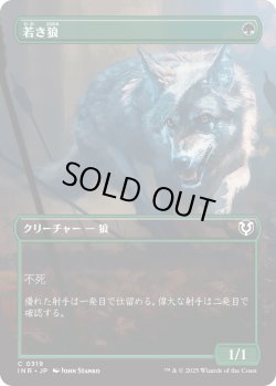 画像1: 若き狼/Young Wolf 【ボーダーレス】 (INR)【特殊アート版】《Foil》
