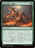 支配を懸けた決闘/Duel for Dominance (INR)《Foil》