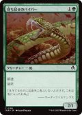 待ち伏せのバイパー/Ambush Viper (INR)《Foil》