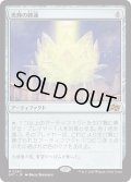 光輝の睡蓮/Radiant Lotus (DFT)