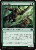牙の守護者/Fang Guardian (DFT)