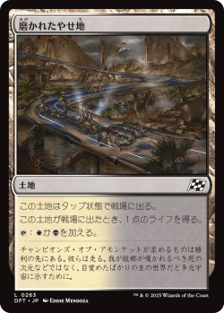 画像1: 磨かれたやせ地/Scoured Barrens (DFT)