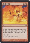 火炎崩れ/Flamebreak (DST)【他言語特集】