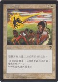 弱者の報復/Retribution of the Meek (VIS)【他言語特集】