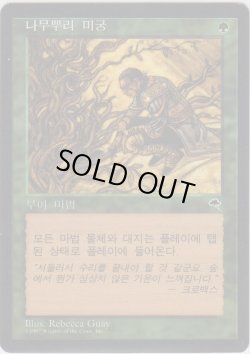 画像1: 根の迷路/Root Maze (TMP)【他言語特集】