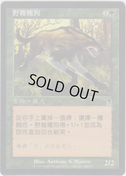 画像1: 野生の雑種犬/Wild Mongrel 【Ver.2】 (ODY)【他言語特集】
