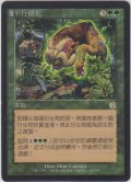 平行進化/Parallel Evolution (TOR)【他言語特集】