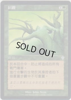 画像1: もつれ/Tangle (INV)【他言語特集】