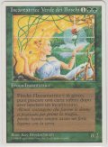 新緑の女魔術師/Verduran Enchantress (4ED)【他言語特集】