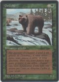灰色熊/Grizzly Bears 【黒枠】 (3ED)【他言語特集】