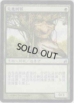 画像1: ツリーフォークの先触れ/Treefolk Harbinger (LRW)【他言語特集】