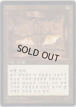 画像1: 羽ばたき飛行機械/Ornithopter (4ED)【他言語特集】