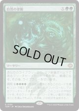 自然の律動/Nature's Rhythm (TDM)