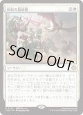 団結の最前線/United Battlefront (TDM)