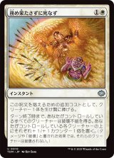 務め果たさずに死なず/Duty Beyond Death (TDM)