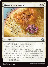 務め果たさずに死なず/Duty Beyond Death (TDM)