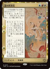 道の再発見/Rediscover the Way (TDM)