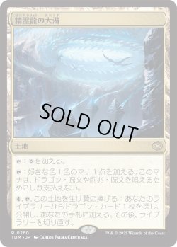 画像1: 精霊龍の大渦/Maelstrom of the Spirit Dragon (TDM)