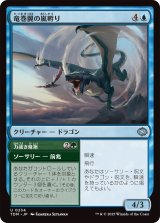竜巻翼の嵐孵り/Whirlwing Stormbrood (TDM)