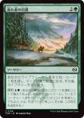 流れ者の日課/Roamer's Routine (TDM)