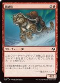 救助豹/Rescue Leopard (TDM)