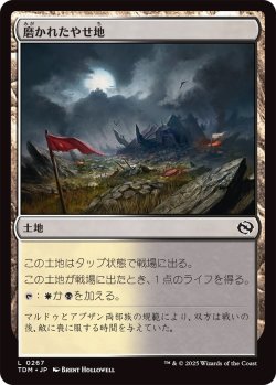 画像1: 磨かれたやせ地/Scoured Barrens (TDM)