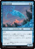 雪解けの牡鹿/Snowmelt Stag (TDM)