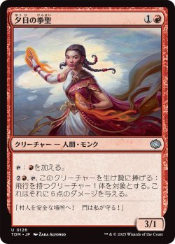 画像1: 夕日の拳聖/Sunset Strikemaster (TDM)