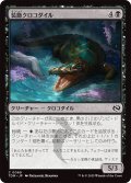 装飾クロコダイル/Adorned Crocodile (TDM)