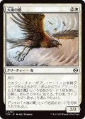 大嵐の鷹/Tempest Hawk (TDM)